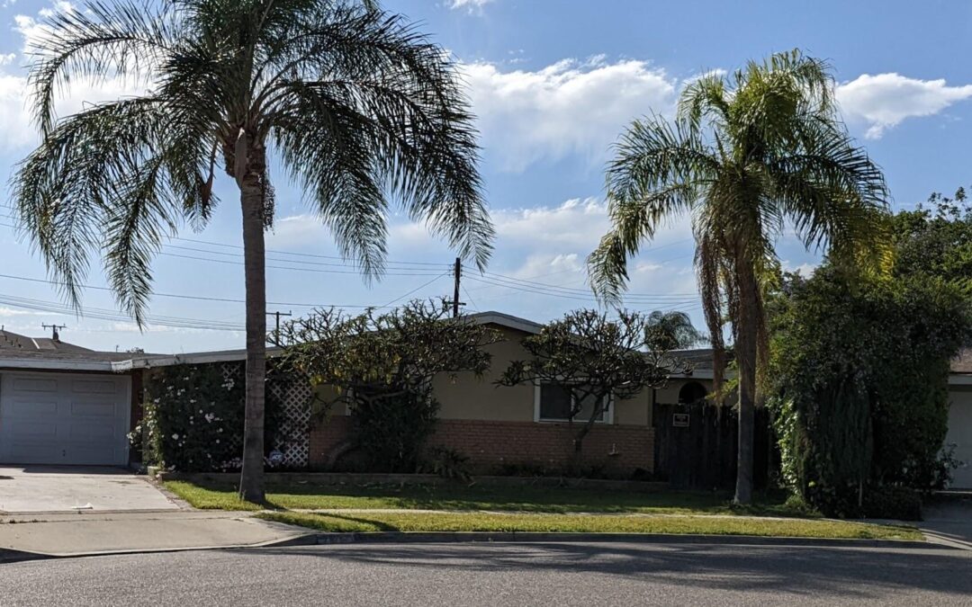 Unlearning Distorted Thinking