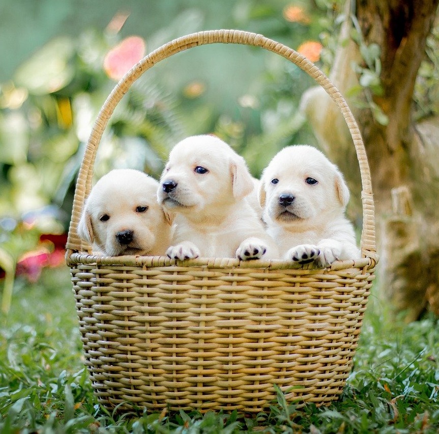 We were all profoundly affected by the dysfunction