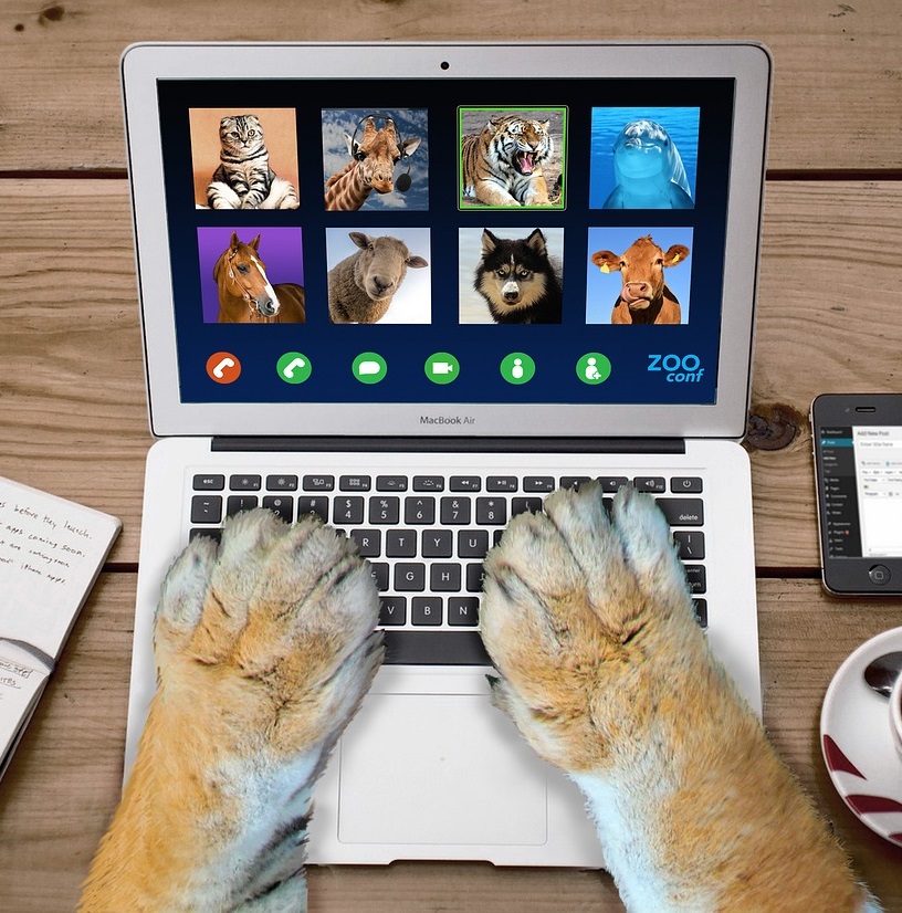 We were all profoundly affected by the dysfunction