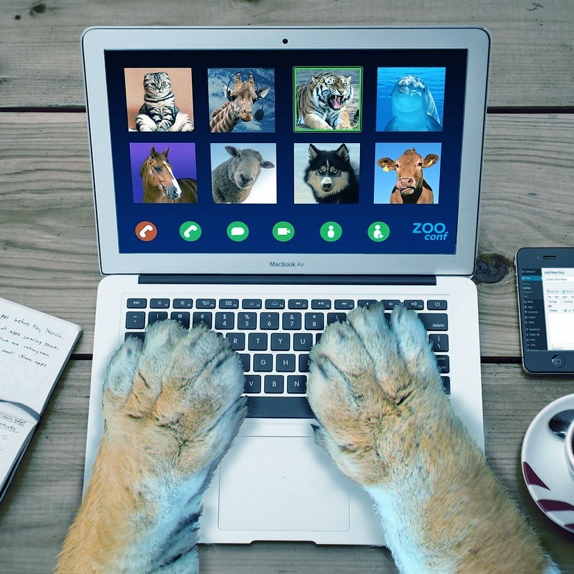 Meeting List Maintenance