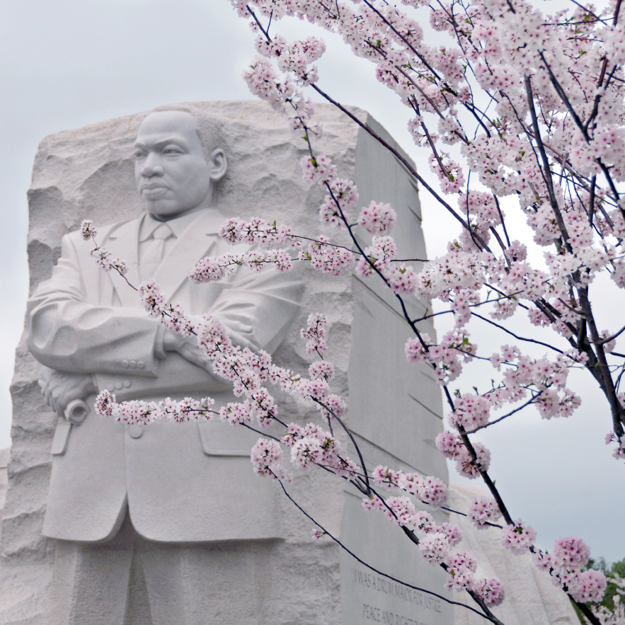 Racial Trauma Service Group