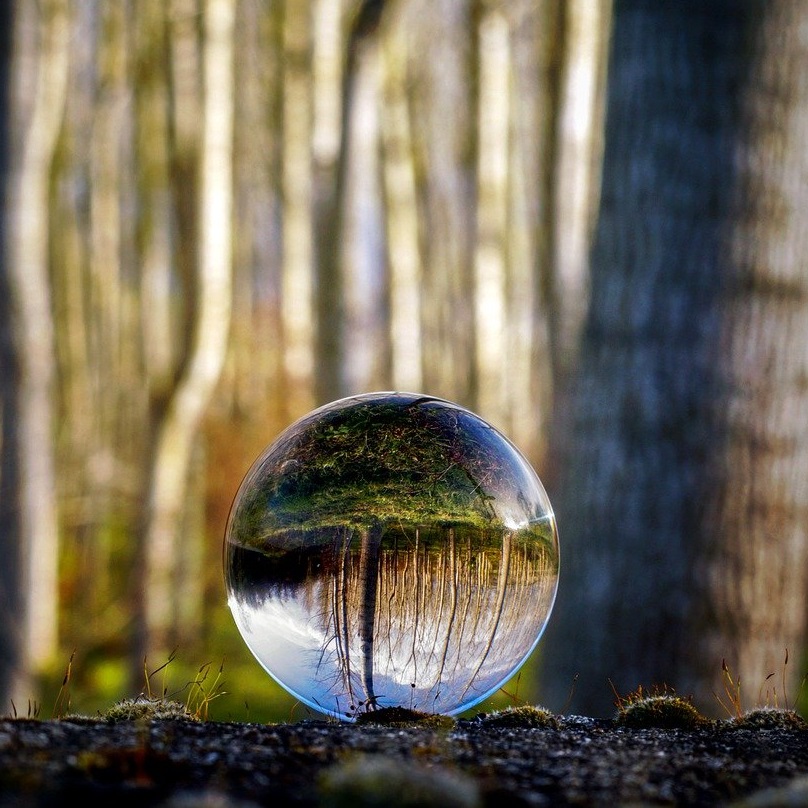 We were all profoundly affected by the dysfunction