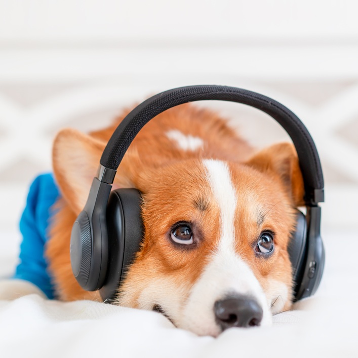 We were all profoundly affected by the dysfunction